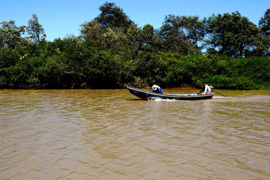 Parnaiba Delta Touren Beekite Brazil